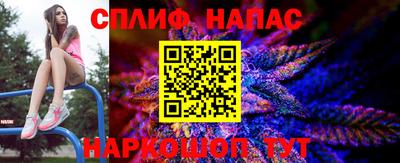 PSILOCYBIN Моздок