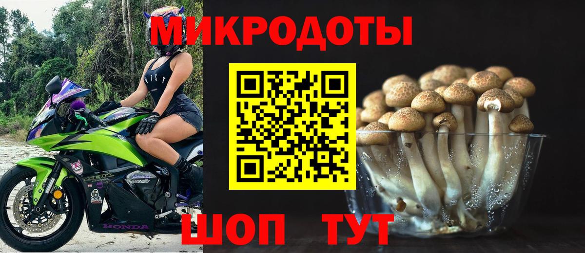 Псилоцибиновые грибы прущие грибы  купить   Богородицк  Вход с VPN 